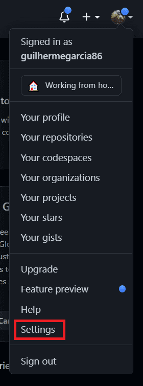settings git